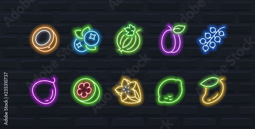 Vector fruits and berries icon set in outline neon style #3
