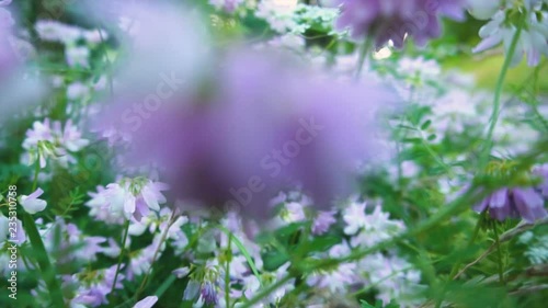 Low Angle Flying Through Flower Field And Pushing Away Flowers - Slow Motion