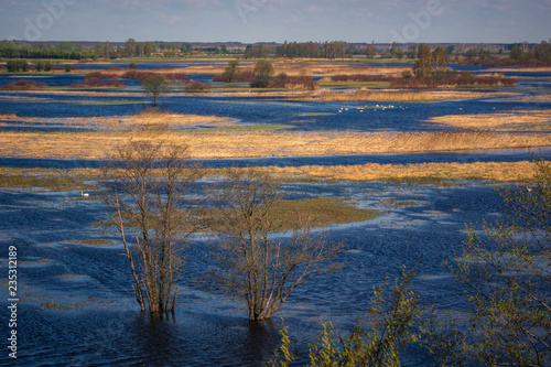 Landscape with Biebrza river near Goniadz, Podlaskie, Poland photo