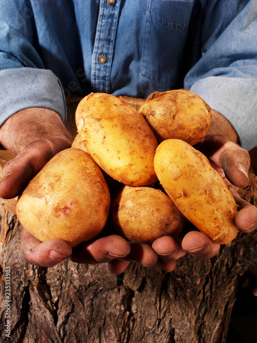 FARMER HOLDING CYPRUS POTATOES photo