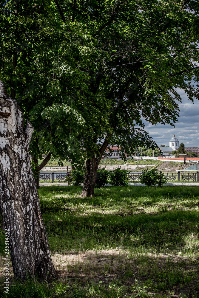 Obraz premium statue in the park