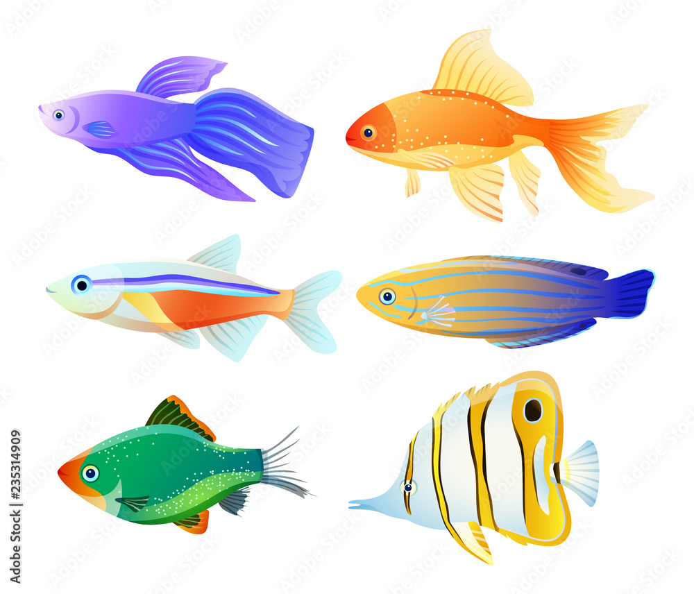 Naklejka premium Sea Creature Illustration for Educational Poster