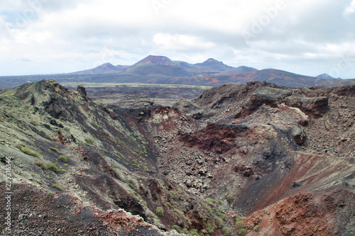 Canary Island desert