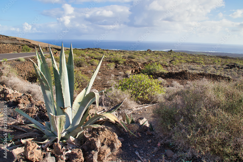 Canary Island desert Canary Island desert