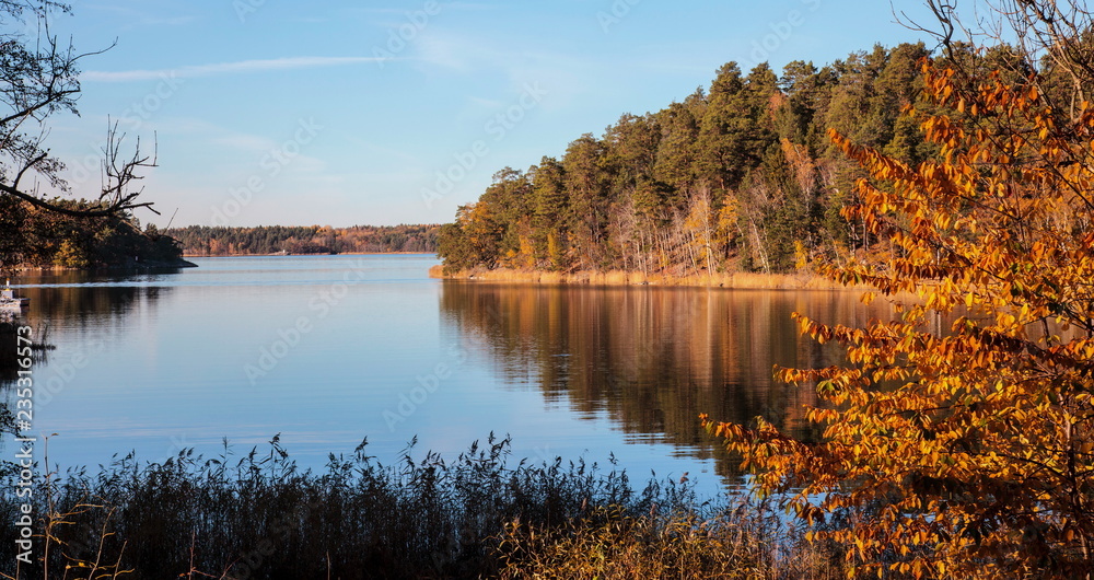 Fototapeta premium autumn landscape with water and trees
