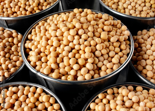 SOYA BEANS