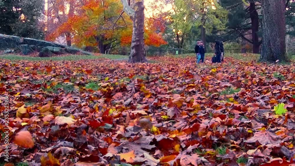Central Park Autumn in Midtown Manhattan slow motion with beautiful colors and foliage in New York City Central Park Autumn in Midtown Manhattan slow motion with beautiful colors and foliage in New York City