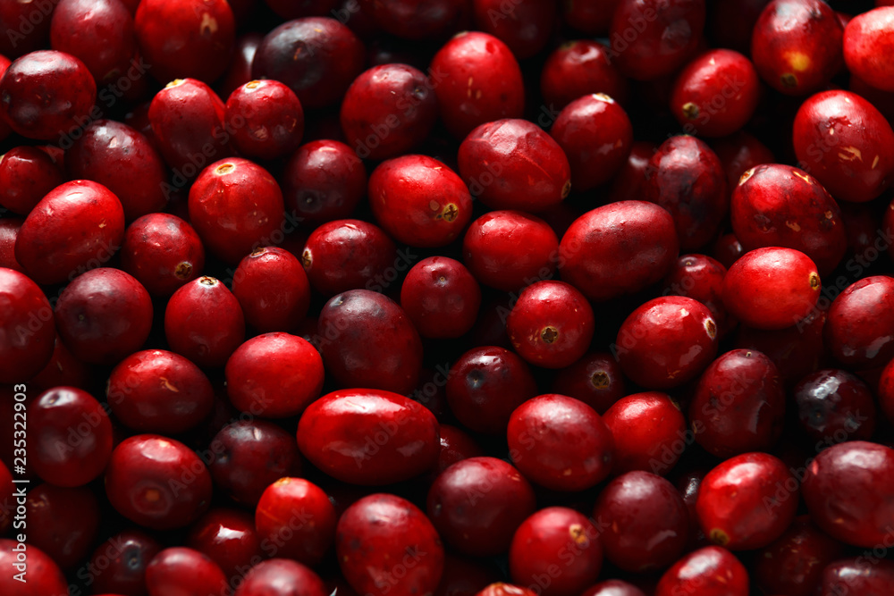 Fresh tasty Cranberry background, texture. close up. selected focus.