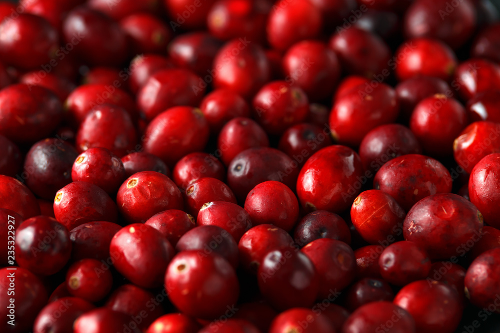 Fresh tasty Cranberry background, texture. close up. selected focus. Fresh tasty Cranberry background, texture. close up. selected focus.