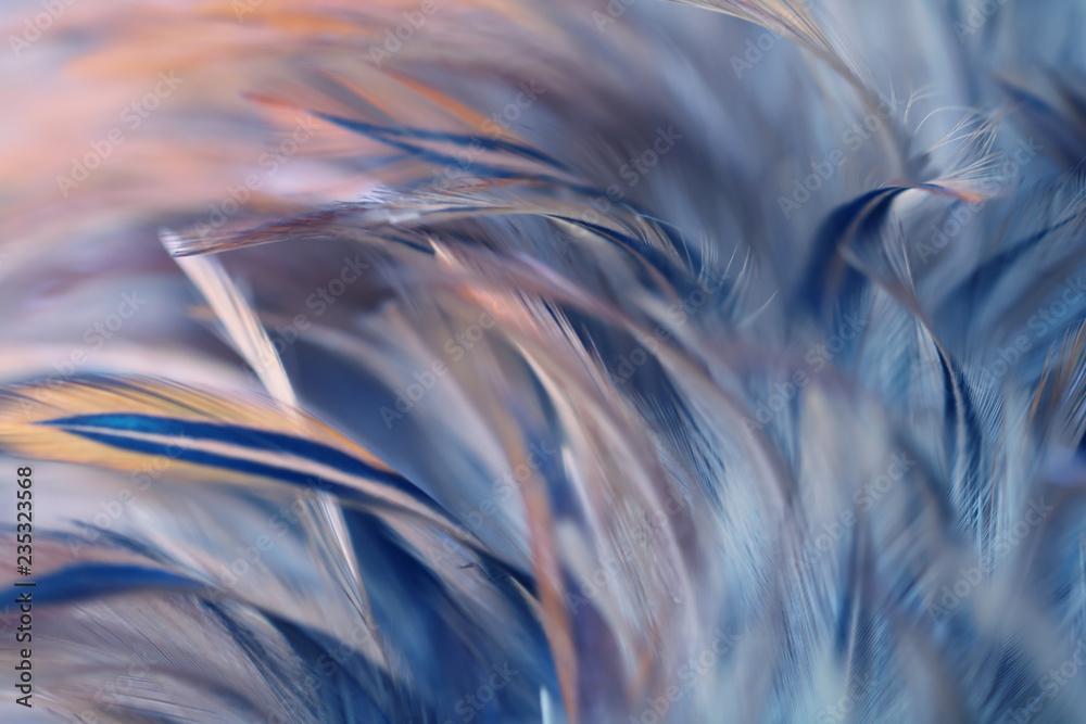 Φωτογραφία Blur Bird chickens feather texture for background, Fantasy, Abstract, soft color of art design