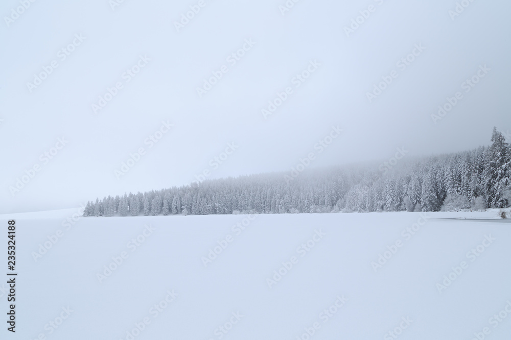 Naklejka premium Sapins enneigés