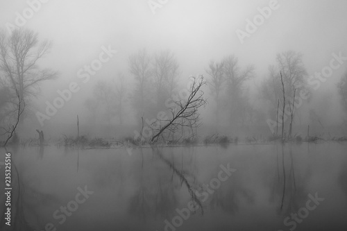 River and Trees on a Foggy Autumn Morning.