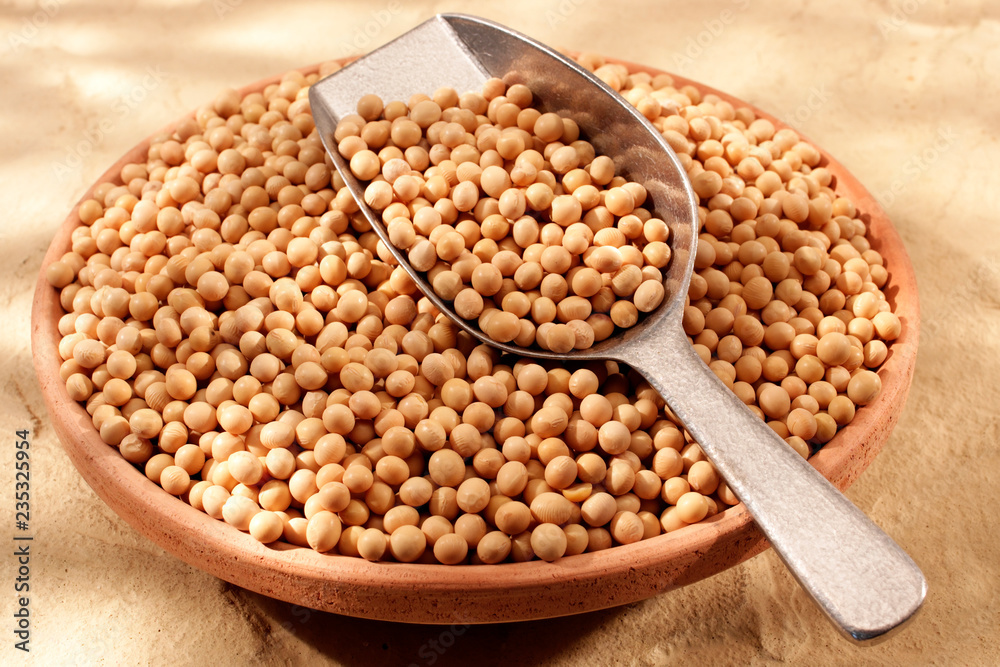 SOYA BEANS