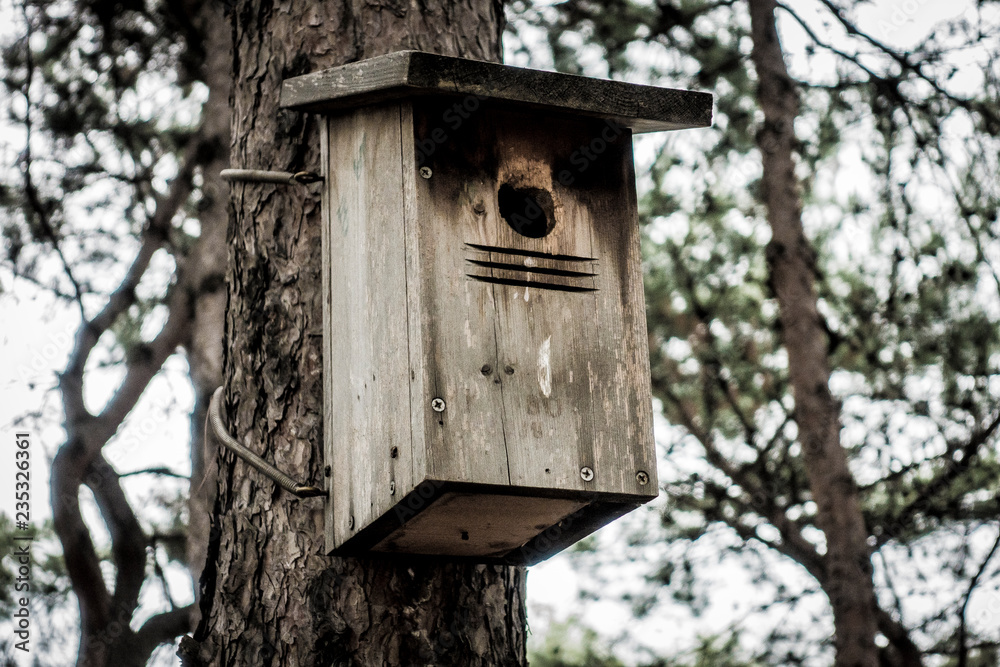 an wooden bird house hanging on the tree