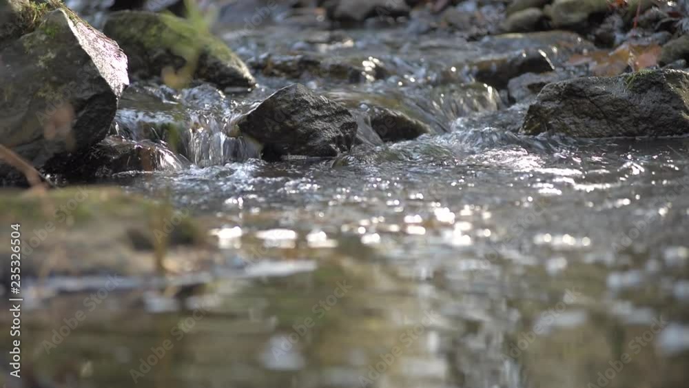 Creek in Autumn Creek in Autumn