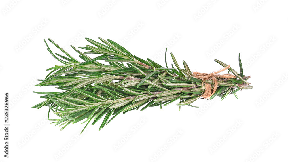 Fototapeta premium fresh rosemary isolated on white background
