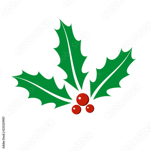 Mistletoe icon. Christmas Holly berry icon. Flat design. On the white background. Vector. photo