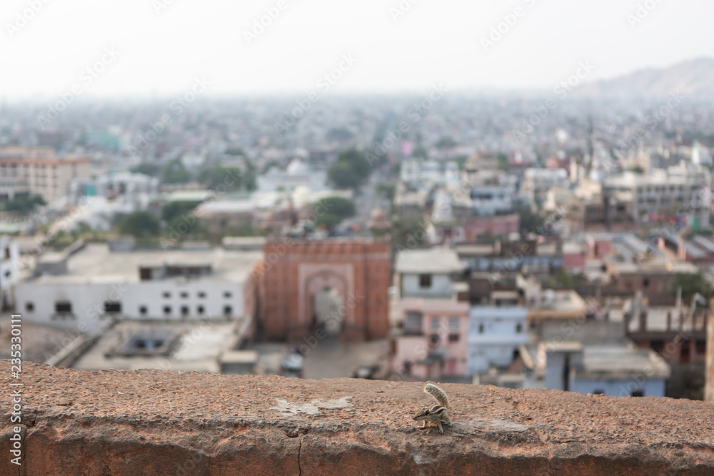 jaipur city viewpoint 