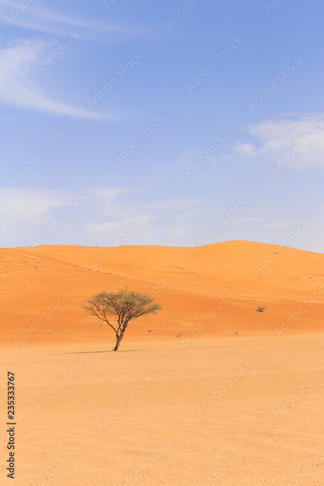 deserto oman