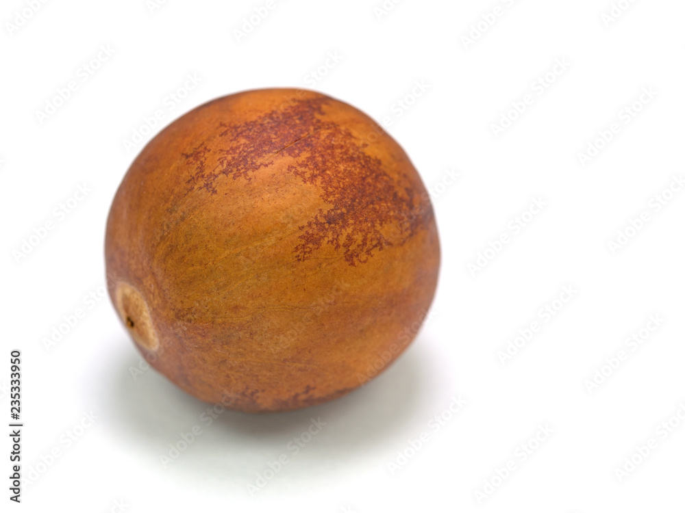 Samenkern einer Avocado vor weißem Hintergrund Samenkern einer Avocado vor weißem Hintergrund