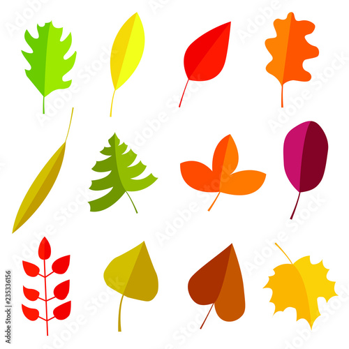 Autumn leaves set. Vector illustration of simple cartoon flat style