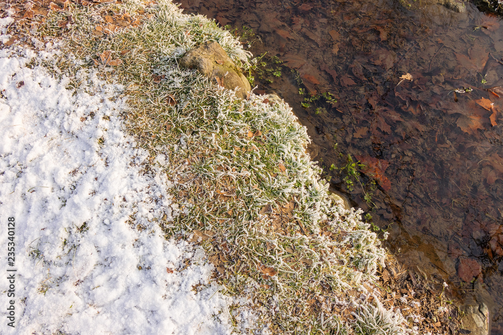 Forest stream in winter Forest stream in winter
