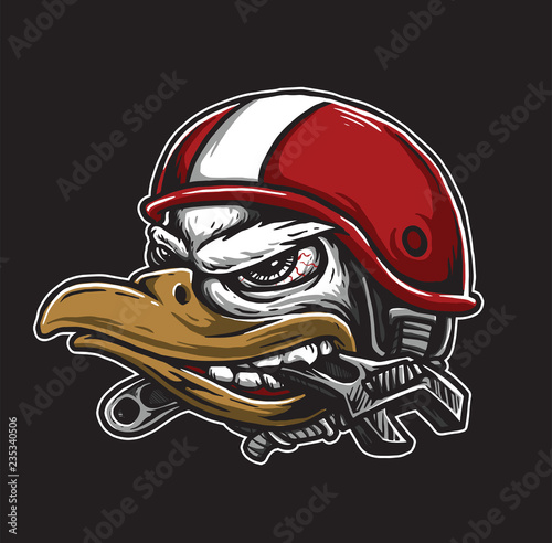 falcon the rider