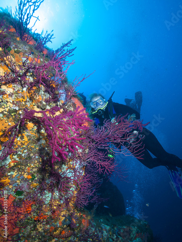 Woman Scuba Diver explores coral reef.