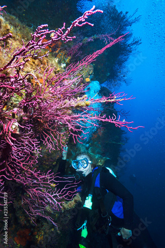 Woman Scuba Diver explores coral reef.