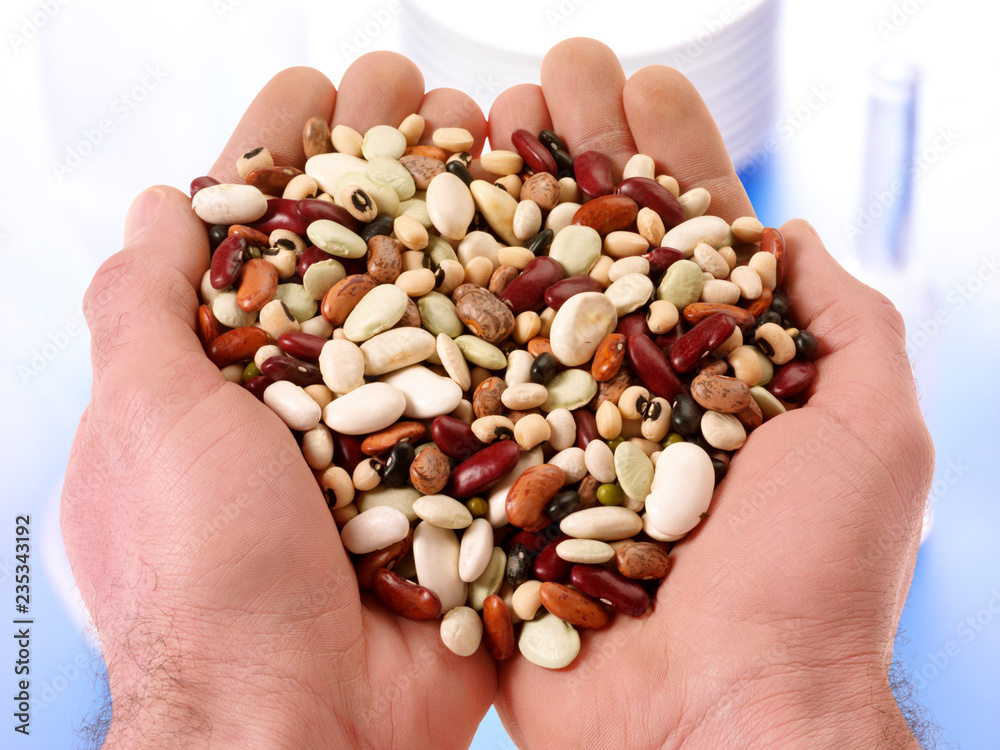 HANDFUL OF MIXED BEANS HANDFUL OF MIXED BEANS
