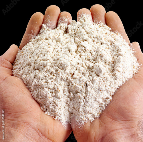 HANDFUL OF WHOLEMEAL FLOUR photo
