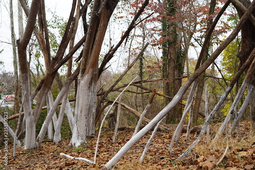 River Side 2