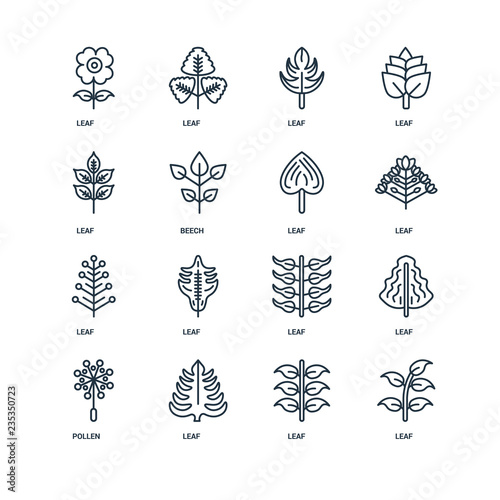 Set Of 16 Universal Editable Icons. Includes Elements Such As Le