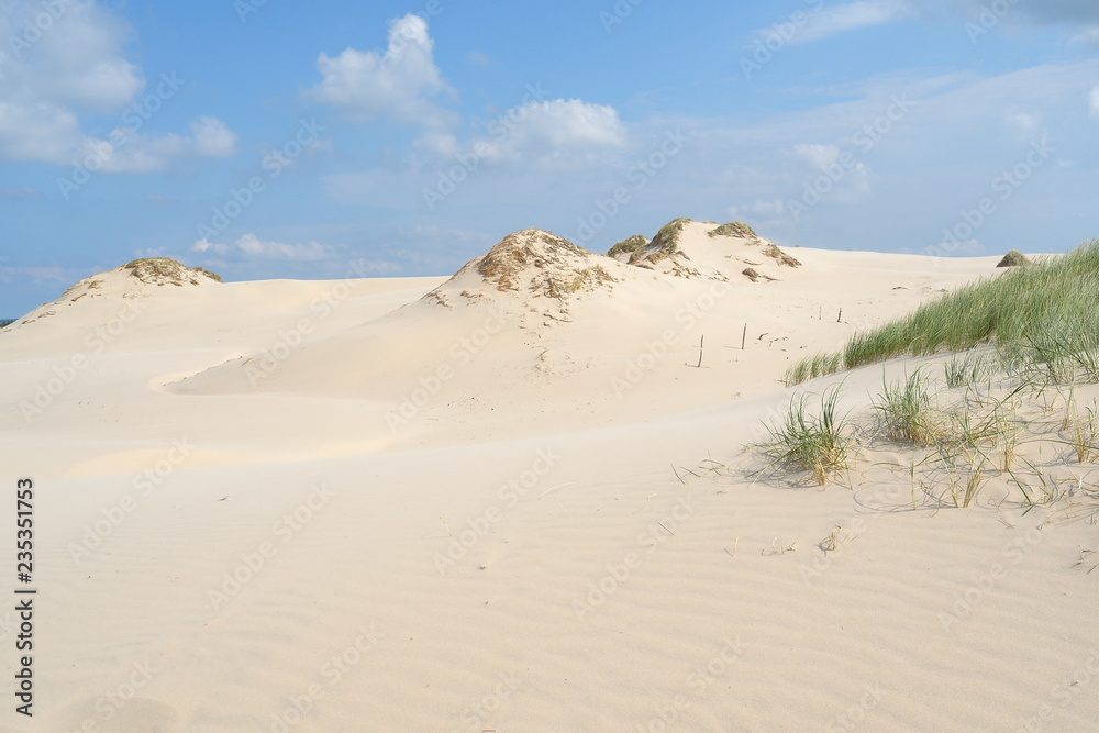 Grass and sand, Slowinski national park, sand dune Leba, Poland