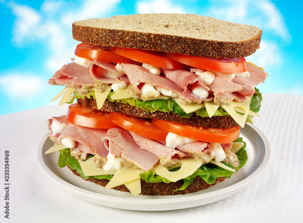 Fotografie HAM AND CHEESE SALAD SANDWICH