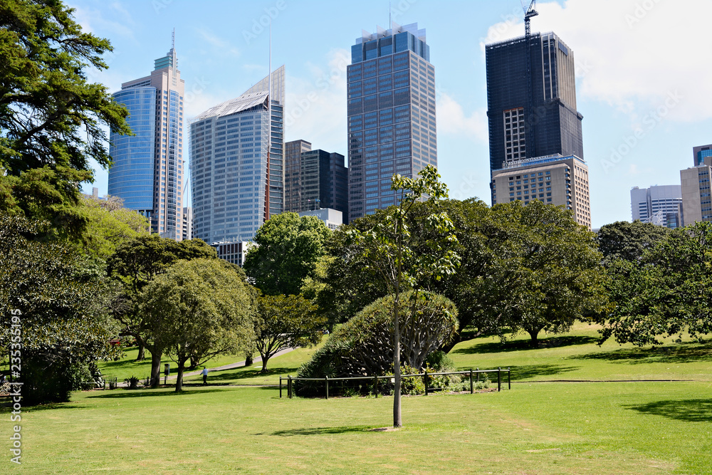 View on business centre from city park in Sydney