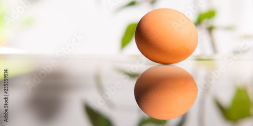 The egg is duplicated
