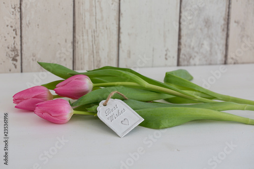 Romantic Spring Still Life With Tulips photo