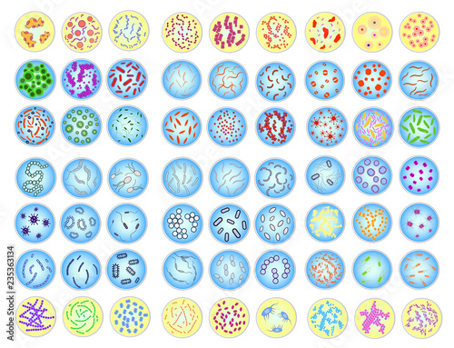 Large set of stylized images of colored bacteria in Petri dish.