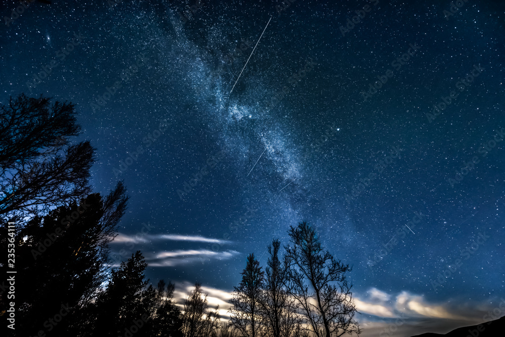 The Milky Way galaxy above forest tree line The Milky Way galaxy above forest tree line