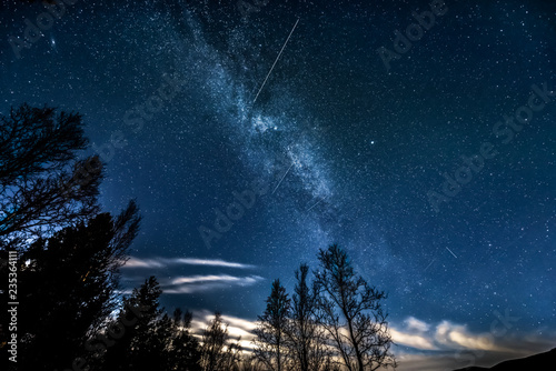 Fototapeta Naklejka Na Ścianę i Meble -  The Milky Way galaxy above forest  tree line 