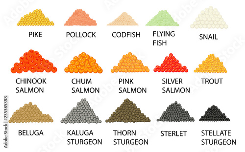 Set of hand drawn colored piles of caviar. Vector illustration.