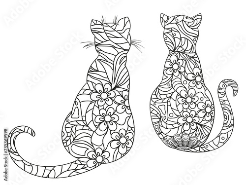 Photography Cats on white