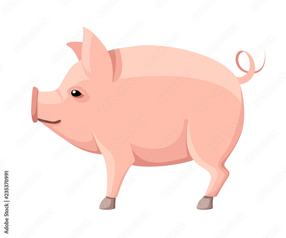 Pink big pig with curly tail. Farm domestic animal. Flat style animal design. Vector illustration isolated on white background Pink big pig with curly tail. Farm domestic animal. Flat style animal design. Vector illustration isolated on white background