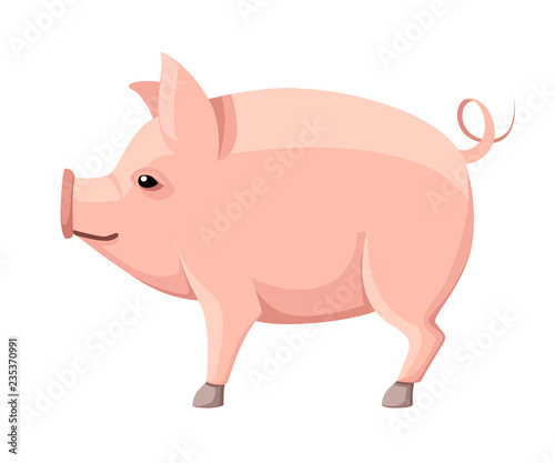 Pink big pig with curly tail. Farm domestic animal. Flat style animal design. Vector illustration isolated on white background