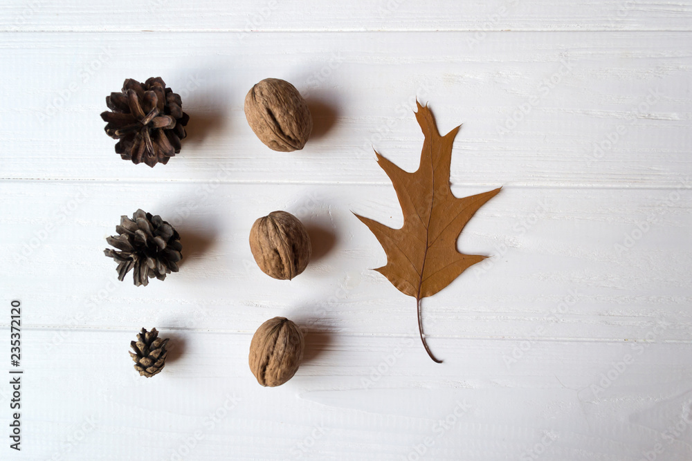 Pine cones, walnuts and oak leaf on a white table.