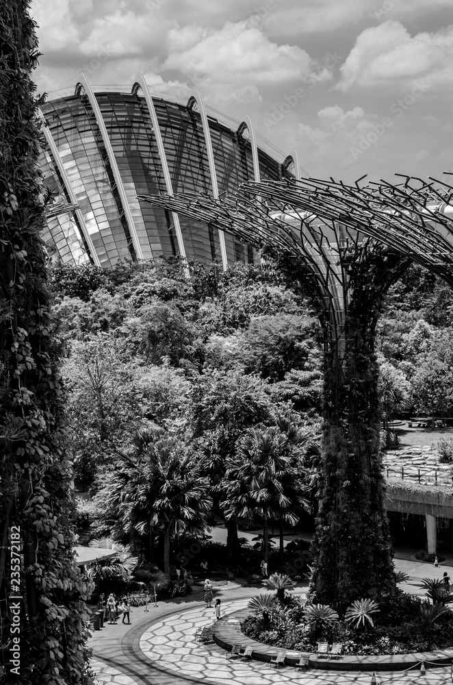 supertree and greenhouse at the garden by the bay. Singapore.