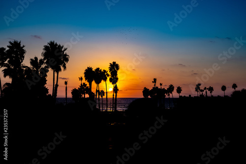 California Sunset in Oceanside