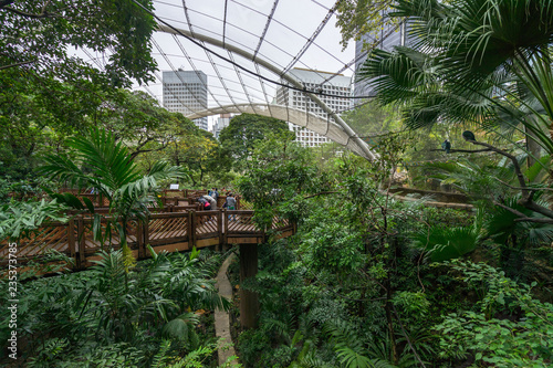 Foto Edward Youde Aviary at the Hong Kong Park features a collection exotic and tropi