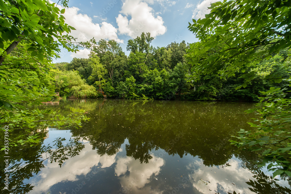 lake in deep forest